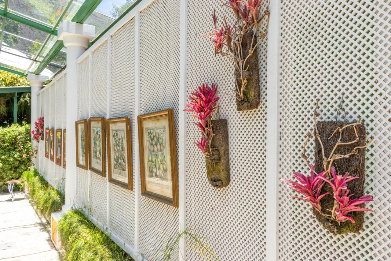 Locanda Della Mimosa Cascatinha Kültér fotó